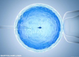 层流实验室